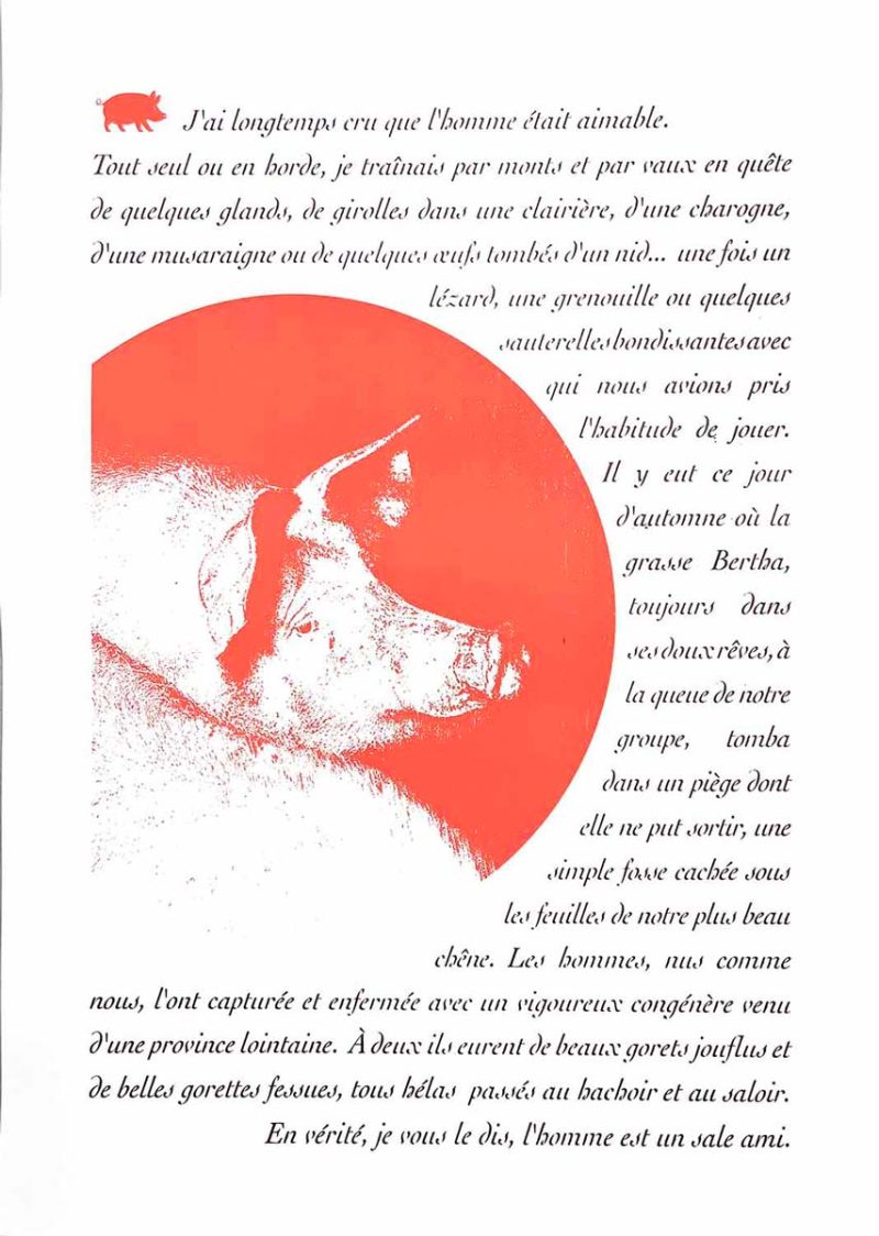 serigraphie-cochon-texte-destin-salami