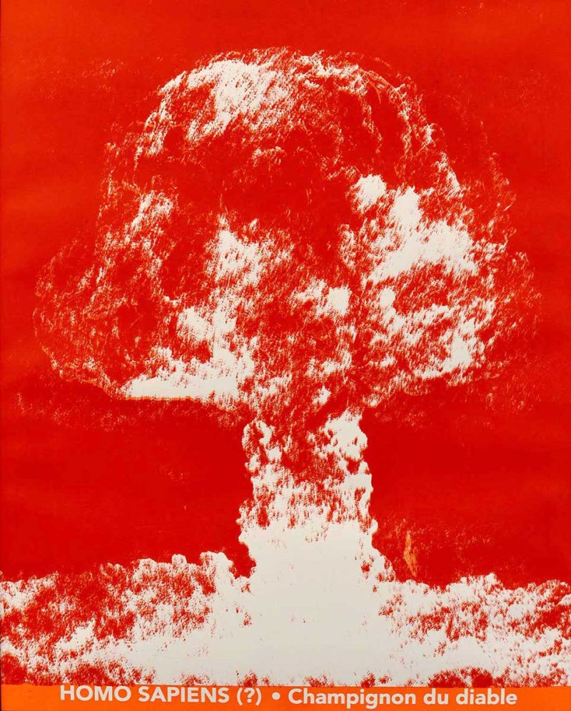 Homo-sapiens-bombe-serigraphie-champignon-diable